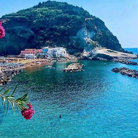 Mare Nostrum - Beachfront House - Sant'Angelo Ischia Extérieur photo