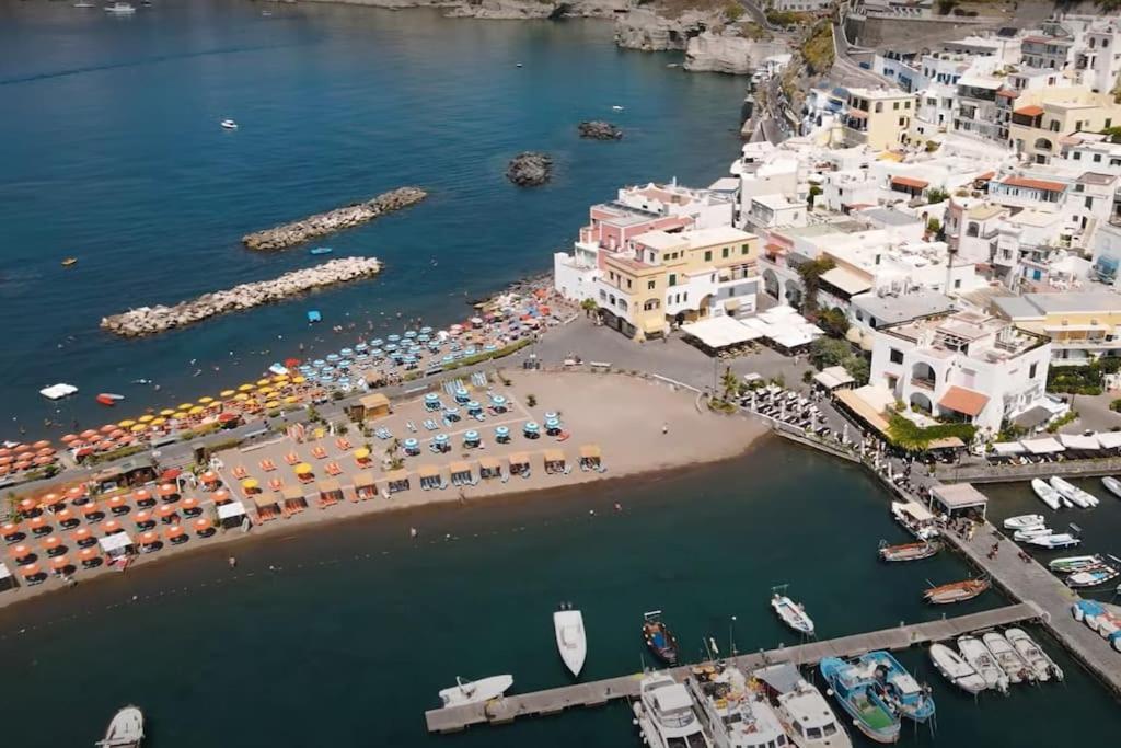 Mare Nostrum - Beachfront House - Sant'Angelo Ischia Extérieur photo